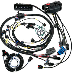 JWT 02-05 Manual Ecotec Standalone Harness Kit